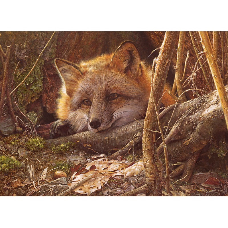 A Touch of Warmth