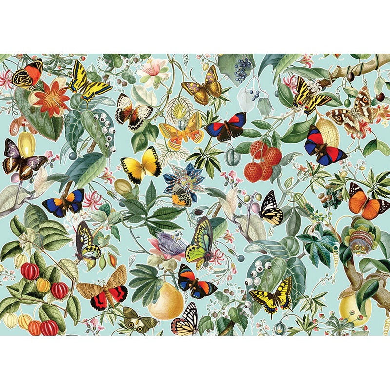 Fruit and Flutterbies