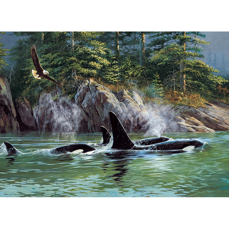 Orcas