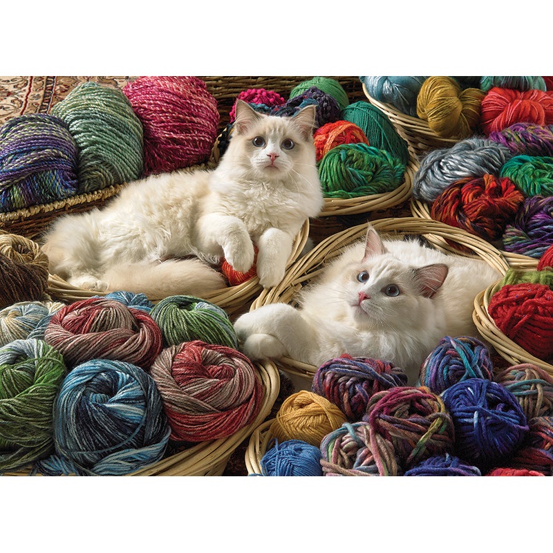 Ragdolls (1000pc)