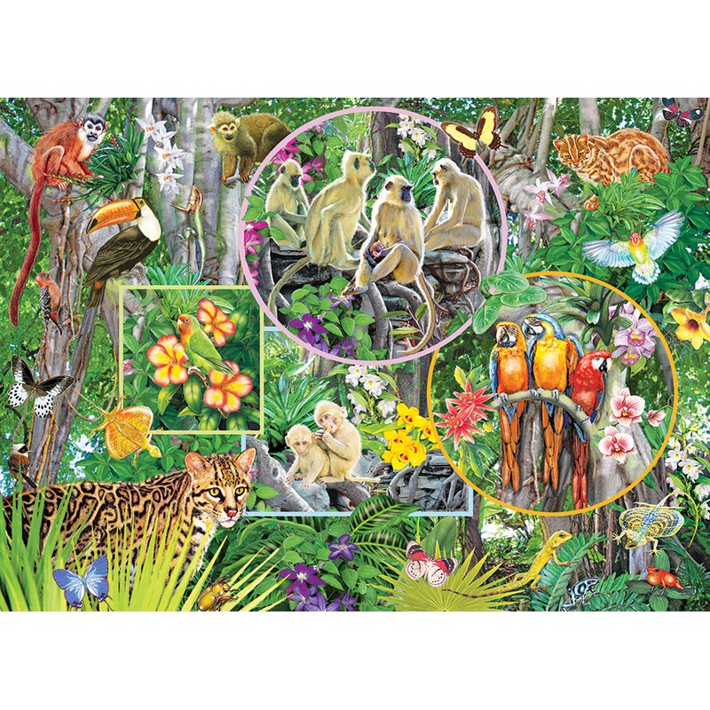 Rainforest Magic (family pieces)