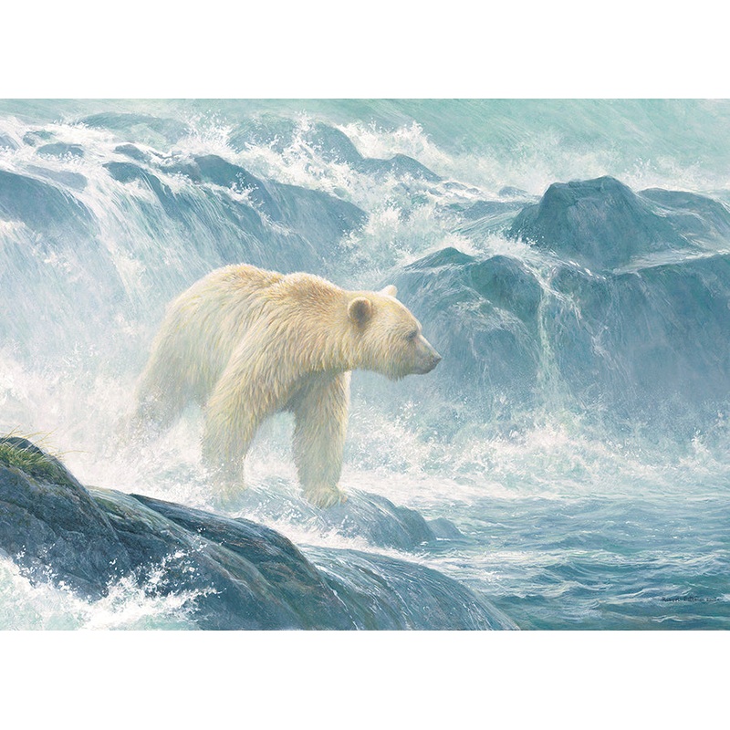 Salmon Watch - Spirit Bear