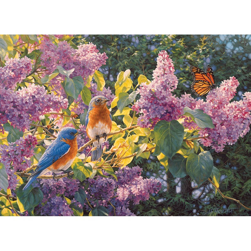 Spring Interlude
