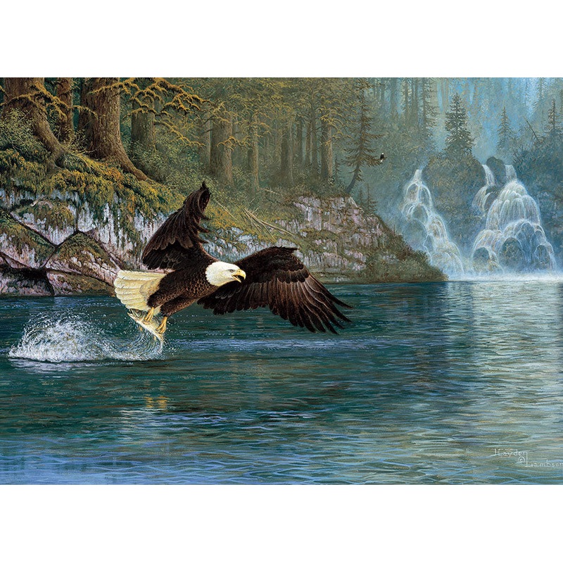Fly Fishing