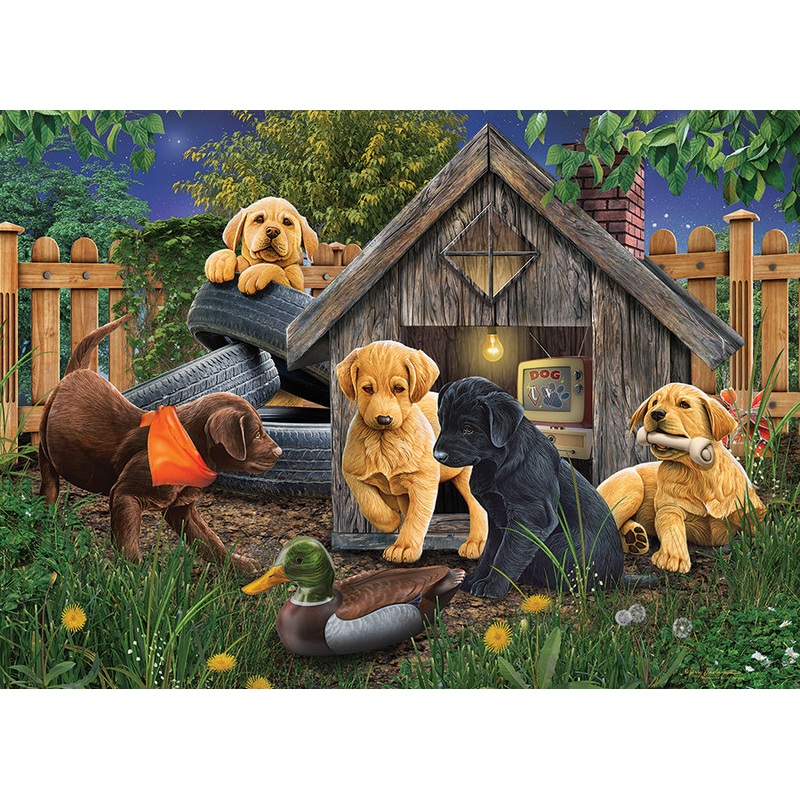 In the Doghouse
