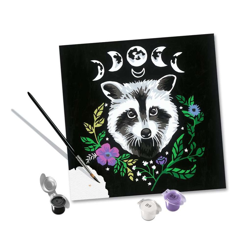 Pixie Cold: Racoon (CreArt Painting by Number)