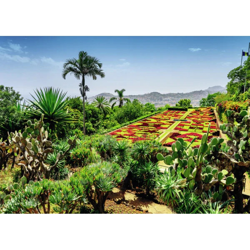 Botanical Garden, Madeira (Beautiful Gardens collection)