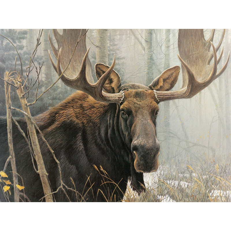 Bull Moose