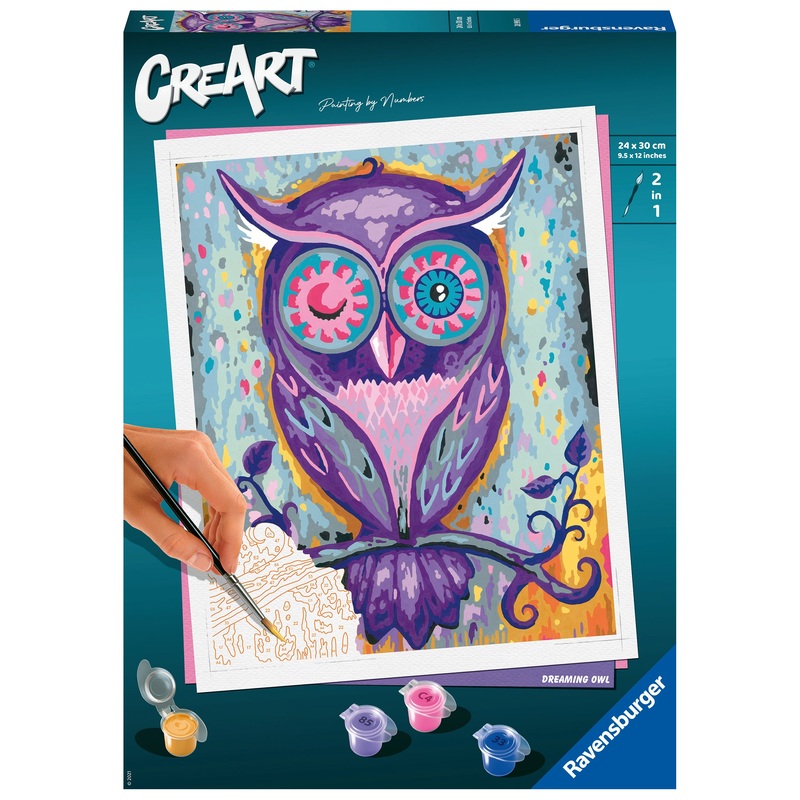 Dreaming Owl (CreArt Painting by Number)