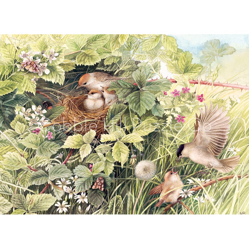 Hidden Nest