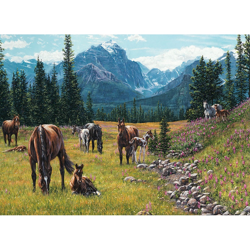 Horse Meadow