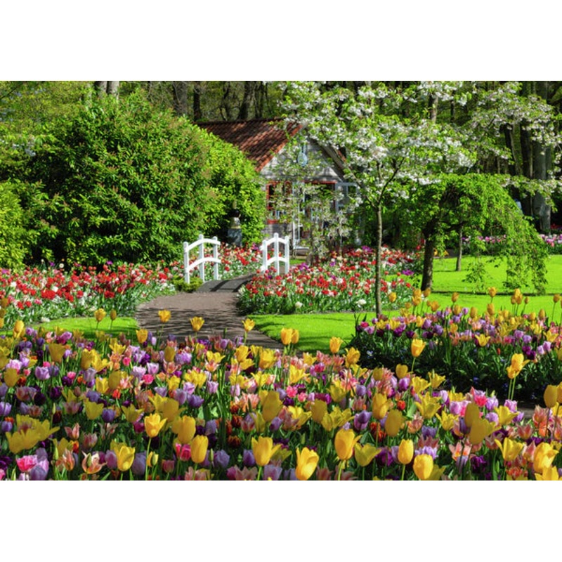 Keukenhof Gardens, Netherlands (Beautiful Gardens collection)