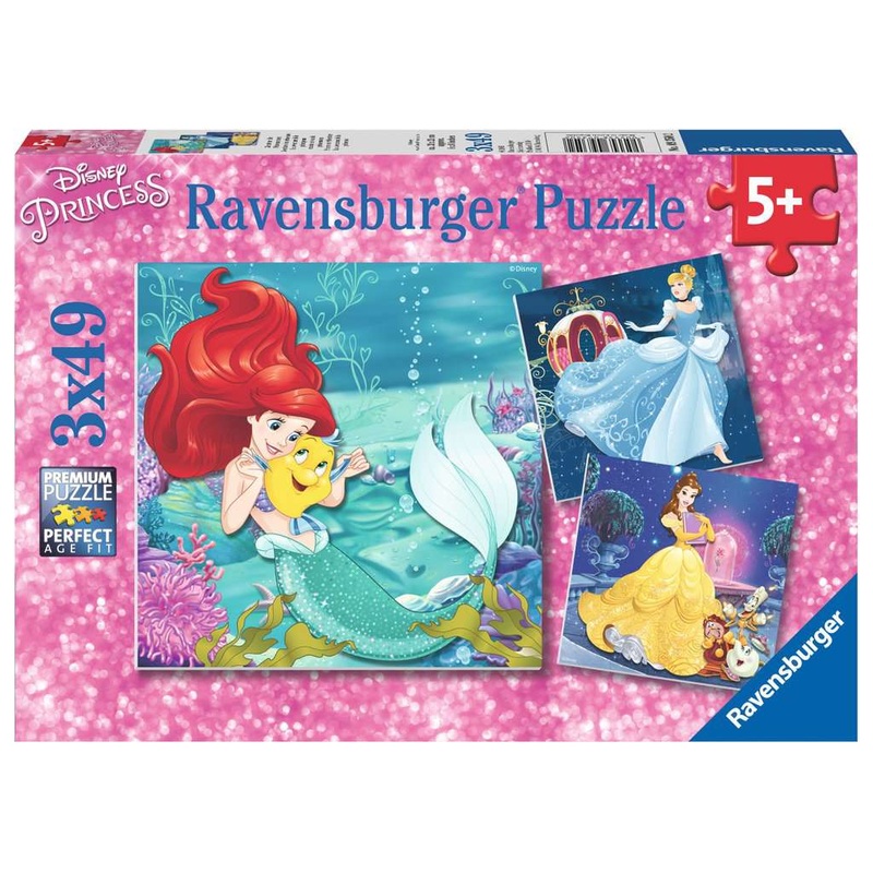 Princess Adventure (3x49pc)