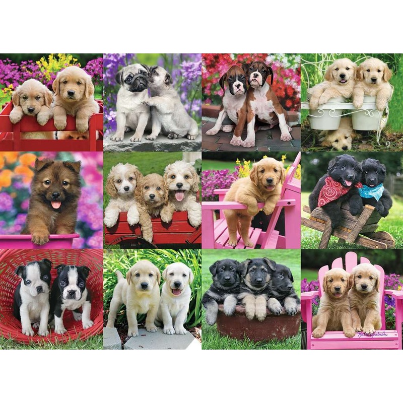 Puppy Pals (500 piece)