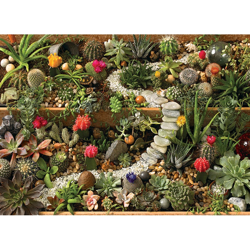 Succulent Garden