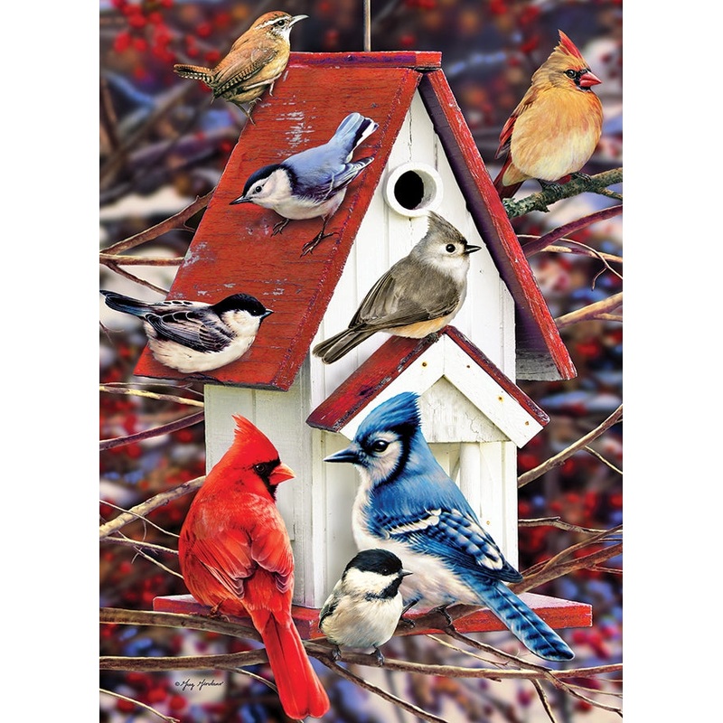 Winter Birdhouse (500pc)