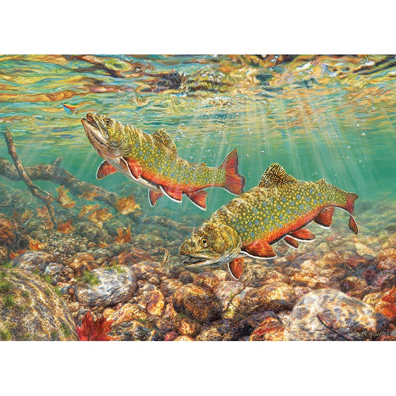Brook Trout