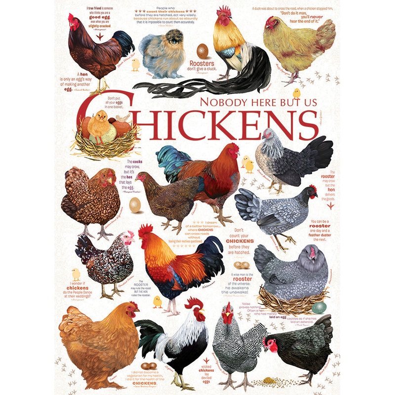 Chicken Quotes