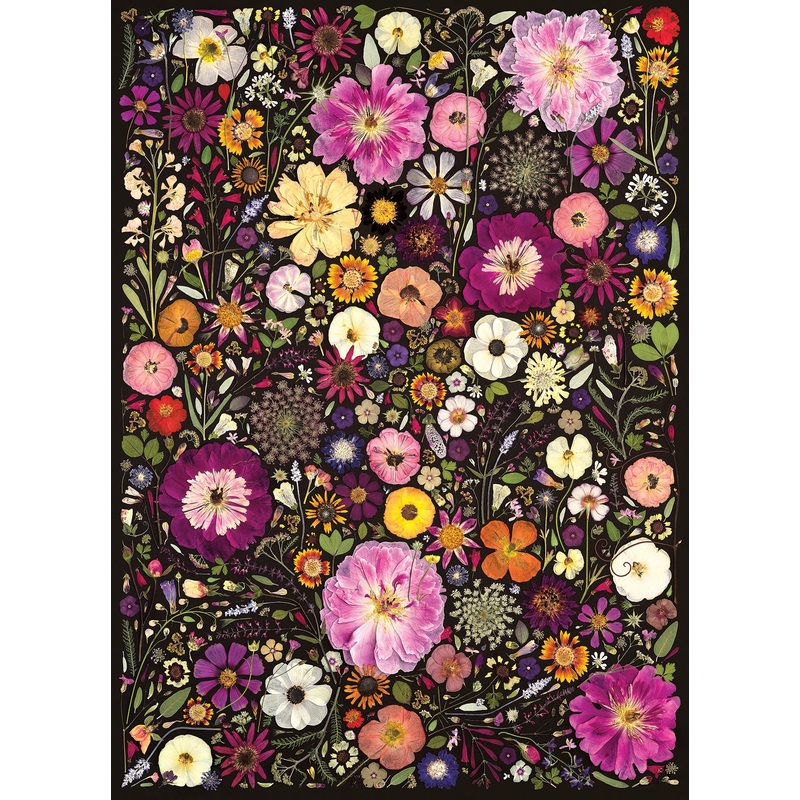 Flower Press: Little Hollow & Red Daisy