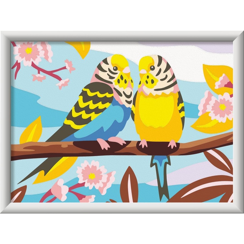 Lovely Budgie (CreArt Painting by Number)