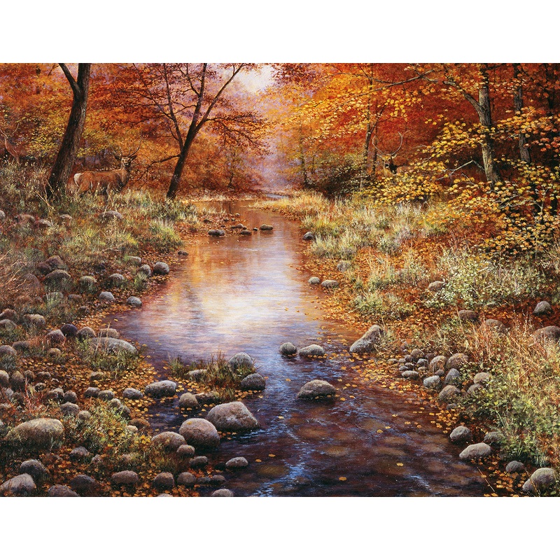 Suns Out 1000 Pc Golden Forest