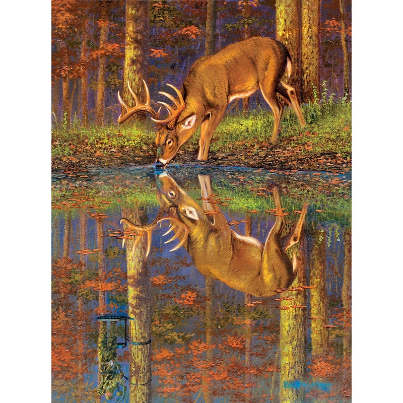 Suns Out 1000 Pc What Lies Below?