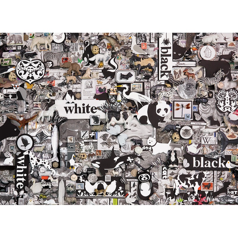 Black and White: Animals