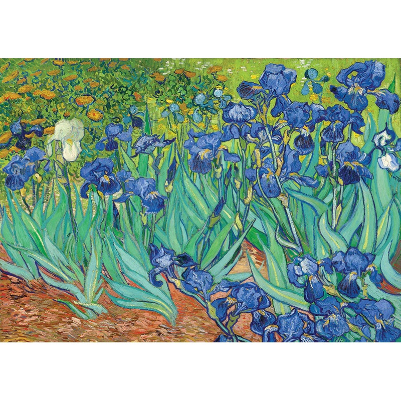 Van Gogh: Irises