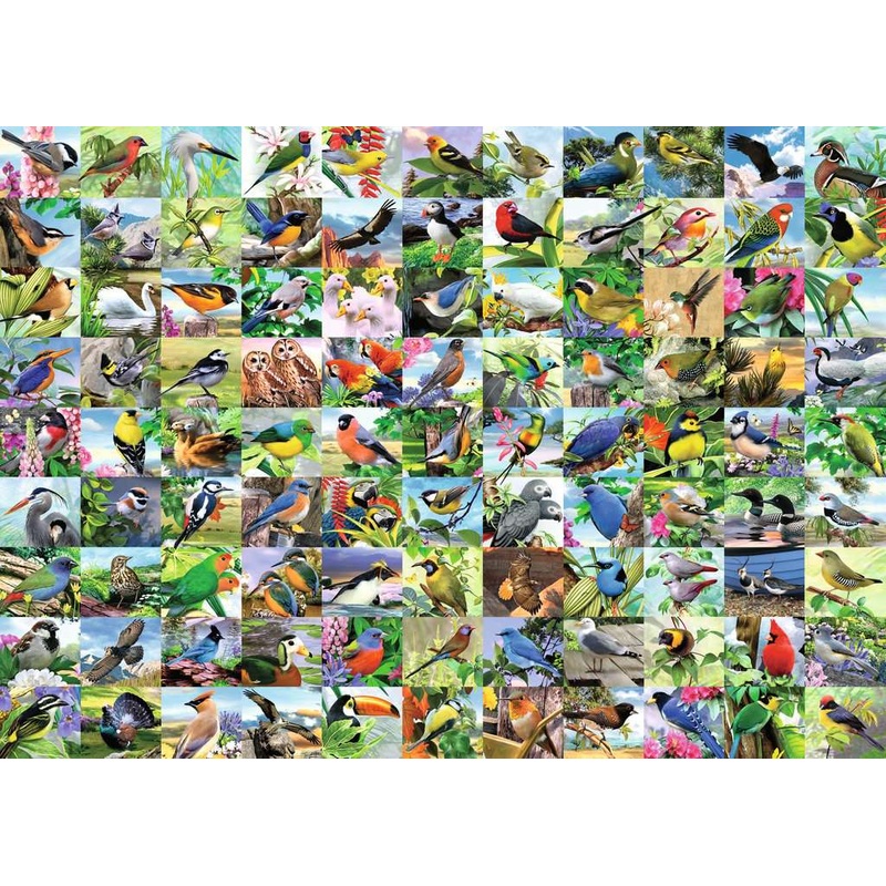 99 Delightful Birds (300 piece LARGE)