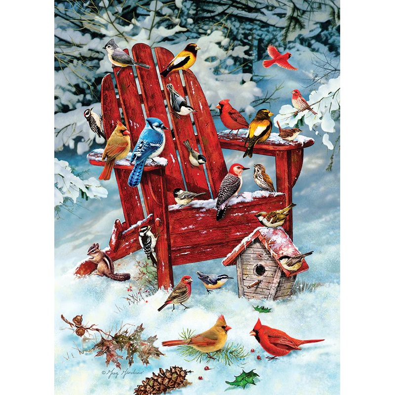 Adirondack Birds