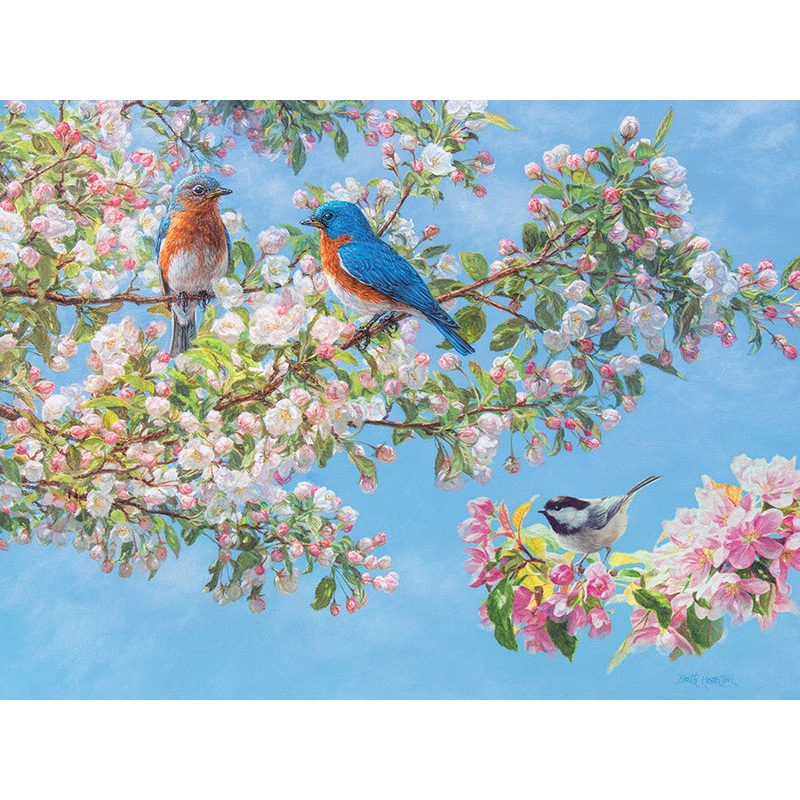 Blossom Festival