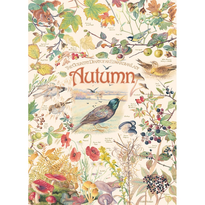 Country Diary: Autumn