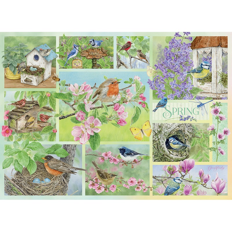 Garden Birds in Spring