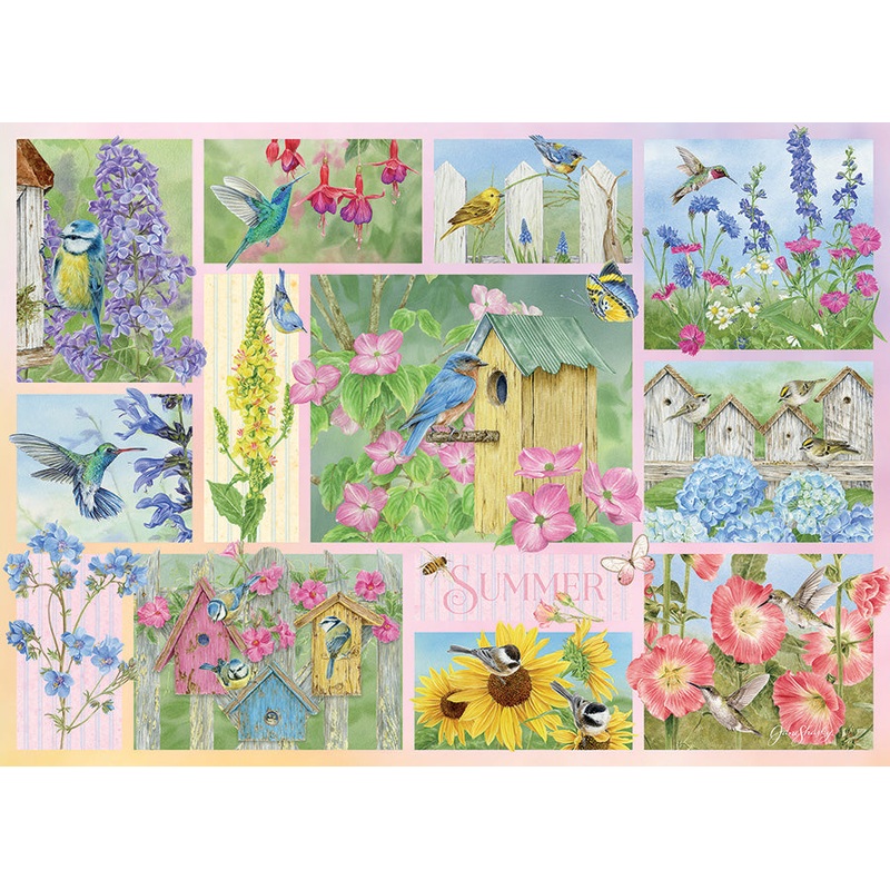 Garden Birds in Summer