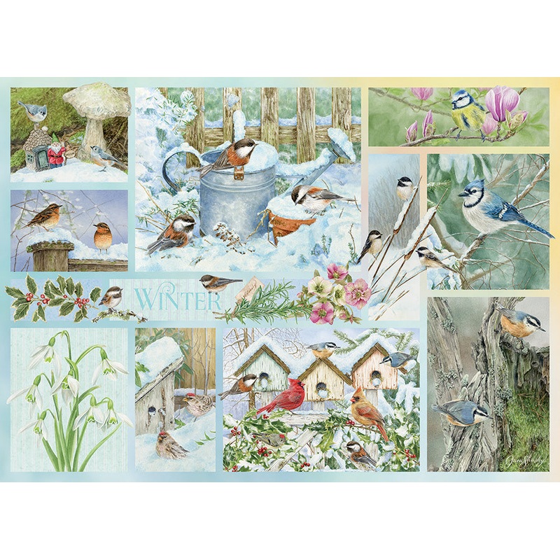 Garden Birds in Winter