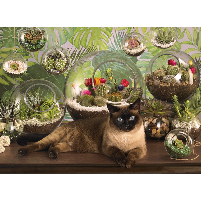 Terrarium Cat