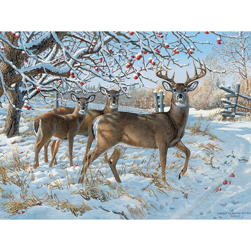 Winter Deer