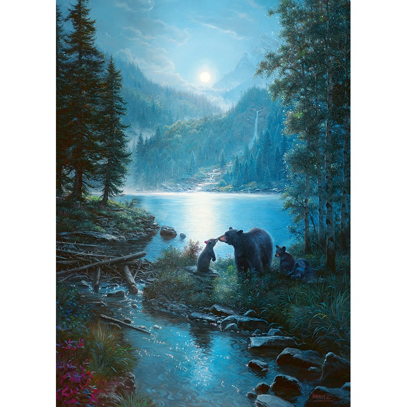 Bear Night