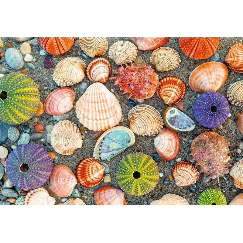 Puzzle Moment: By the Seashore (300pc)