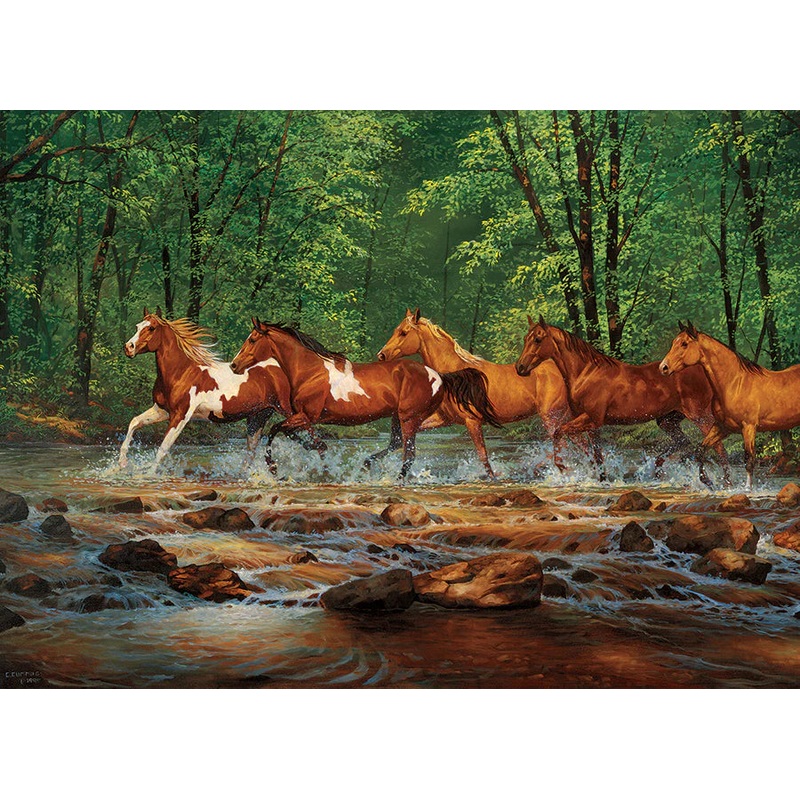 Spring Creek Run