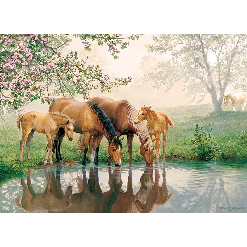 Horse Family