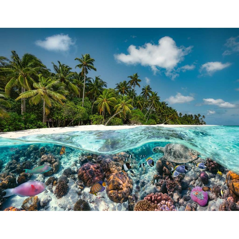 A Dive in the Maldives (2000 piece)