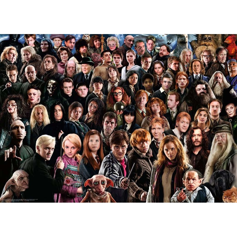 Harry Potter Challenge