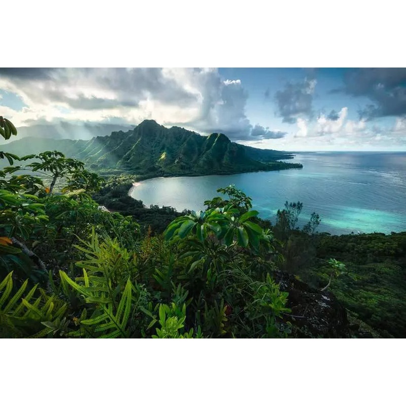 Hawaiian Viewpoint (5000 piece)