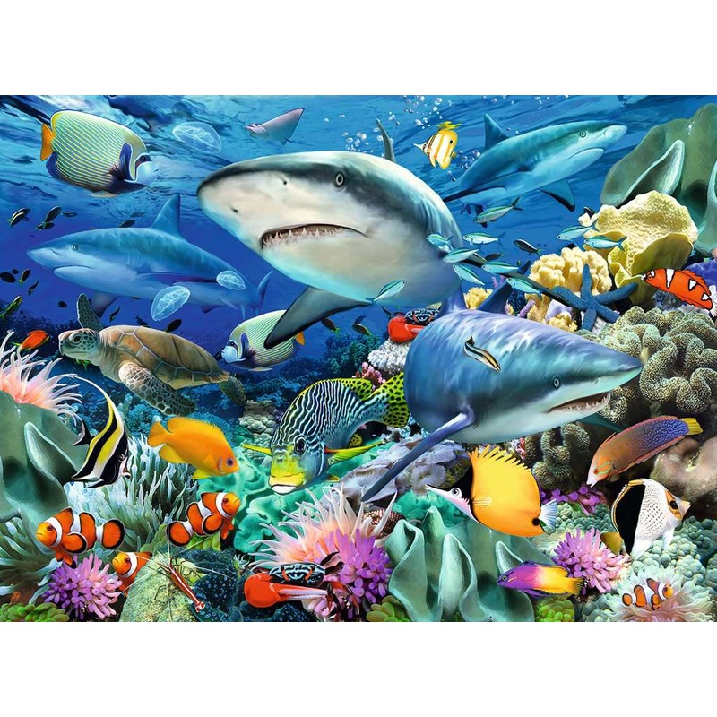 Shark Reef (100pc XXL)