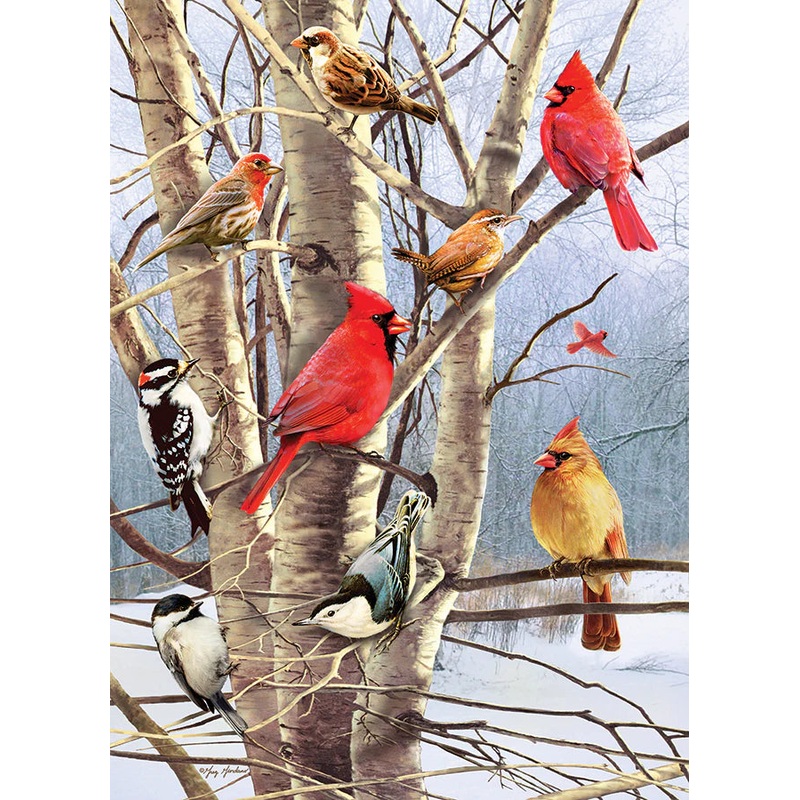 Winter Birds