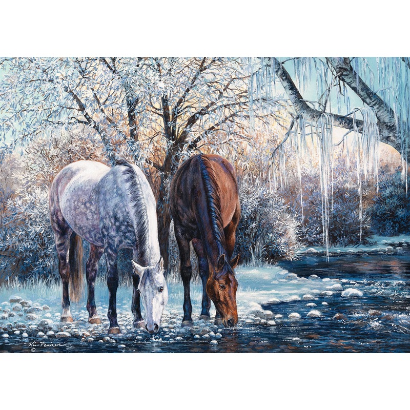 Winter's Beauty